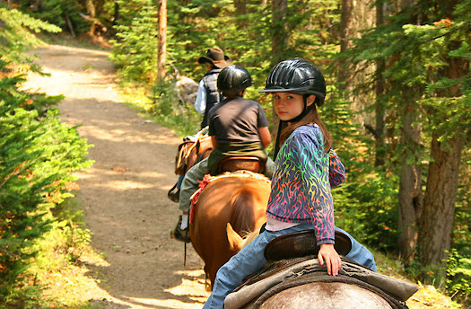 Ferienhof mit Ponyreiten im Bayerischen Wald